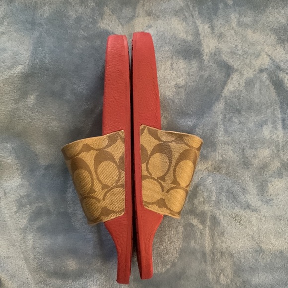 Coach slides - Picture 5 of 7